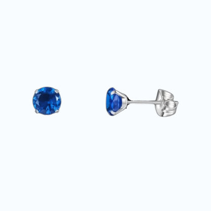 Titanium Oorbellen Met Donkerblauwe Zirkonia
