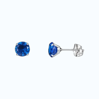 Titanium Oorbellen Met Donkerblauwe Zirkonia