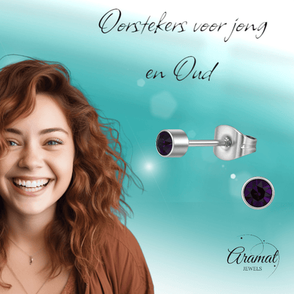 Amethist paarse kristal oorstekers – 4mm RVS - Aramat Jewels - Oorbellen - cadeautip