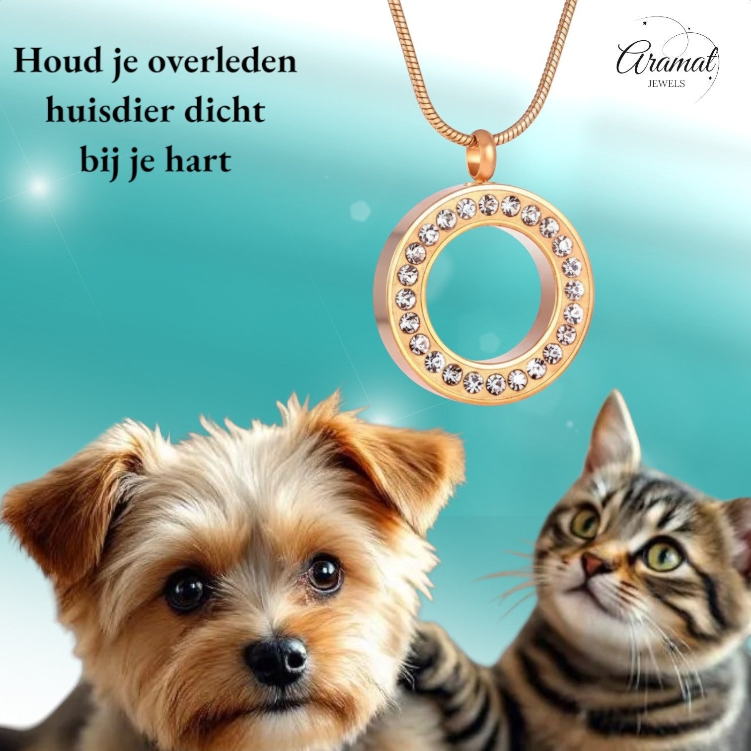 Aramat Jewels® goudkleurige cirkel ashanger met kristallen, roestvrij staal, zonder ketting.