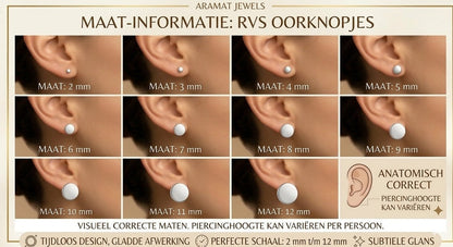 Aramat Jewels zilverkleurige oorstekers met bruin kristal van 8mm, gemaakt van roestvrij staal.