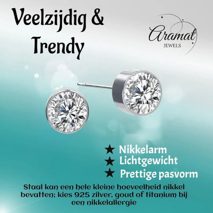 Aramat Jewels zilverkleurige oorstekers met 6mm transparant kristal. Nikkelarm, lichtgewicht en met een pretty pasvorm.