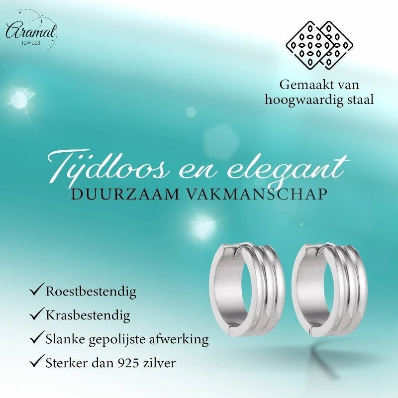 Brede Stalen Creolen 20mm - oor5821 - se43095 - Oorringen kopen# - 20mm - alles - cadeau