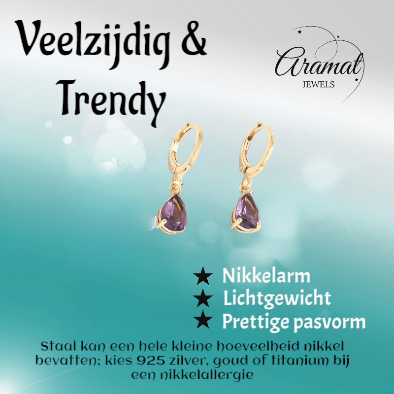 Goudkleurige Mini Oorringetjes Meisje – Paarse Zirkonia – 10mm - oor6339 - 66134 - Oorringen kopen# - 10mm - alles - cadeau