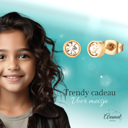 Goudkleurige Stalen Kristallen Oorbellen 5mm - oor2076 - xe58218 - Oorbellen kopen# - 5mm - alles - cadeau