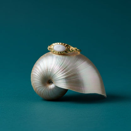 Goudkleurige Verstelbare RVS Ring met Parelmoer Wit Emaille - 6 mm - Aramat Jewels - Ringen - cadeautip