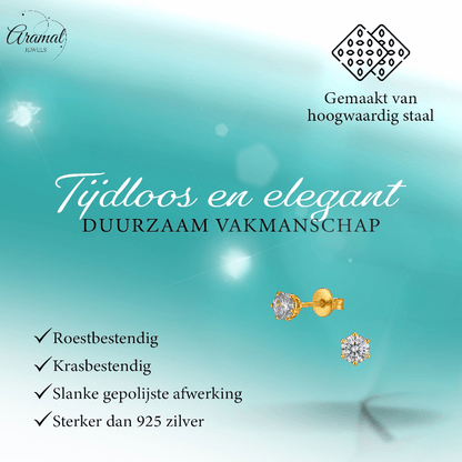 Goudkleurige Zirkonia Oorbellen 4mm Lila - Aramat Jewels - Oorbellen - cadeautip
