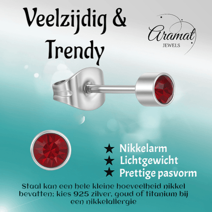 Granaatrood kristal oorstekers – 4mm zilver RVS - Aramat Jewels - Oorbellen - cadeautip