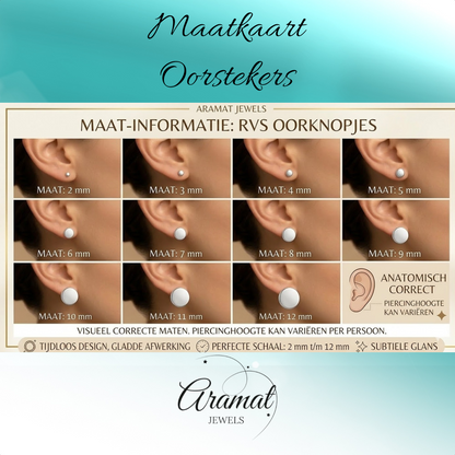 Zilverkleurige Vierkante zirkonia Oorbellen