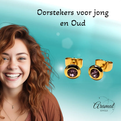 Oorbellen – RVS Goudkleurig met Licht Paars Kristal (6mm) - Aramat Jewels - Oorbellen - cadeautip