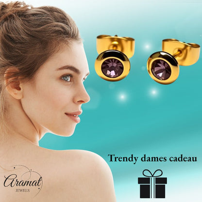 Oorbellen – RVS Goudkleurig met Licht Paars Kristal (6mm) - Aramat Jewels - Oorbellen - cadeautip