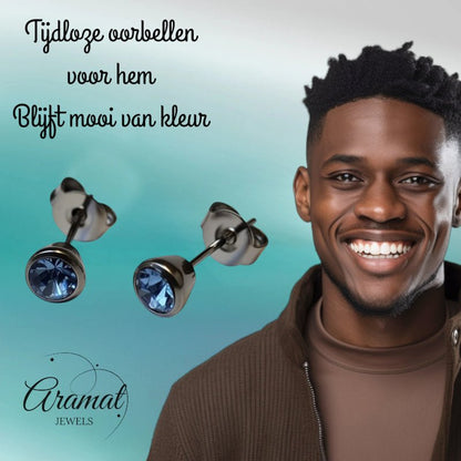 Oorbellen – Staal Lila Kristal Zilverkleurig (5mm) - Aramat Jewels - Oorbellen - cadeautip