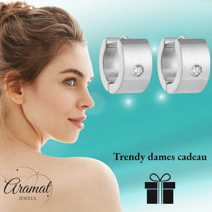 Oorringen – 13mm Mini Creool Zirkonia Accent RVS Zilverkleur Unisex - Aramat Jewels - Oorringen - cadeautip