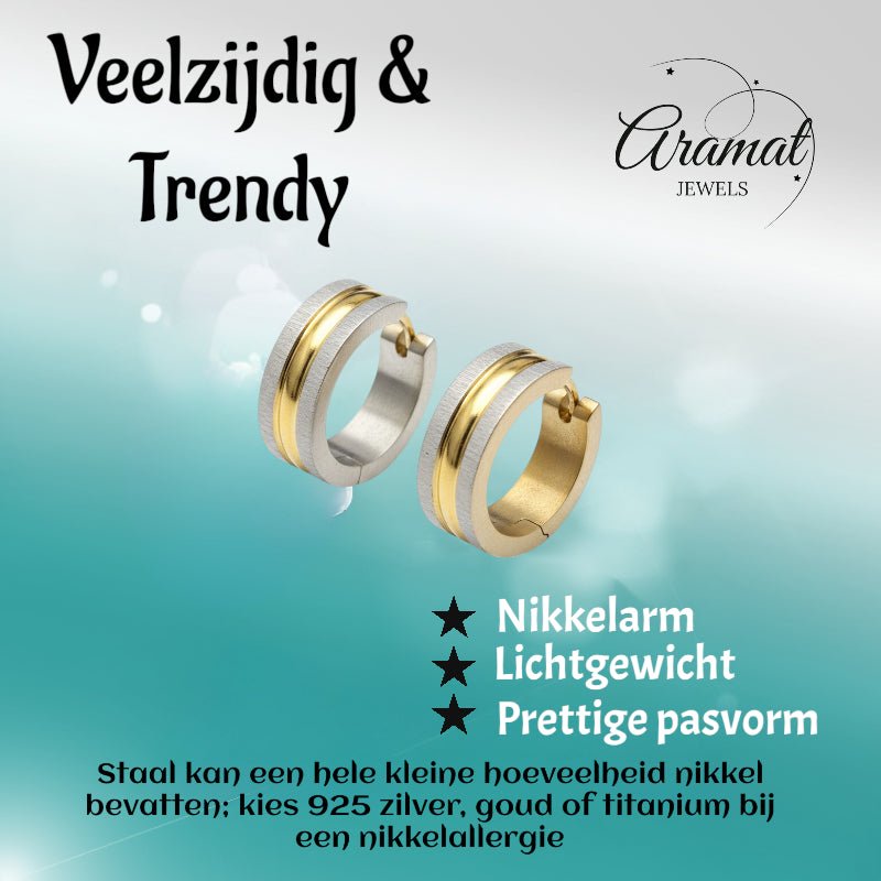 Oorringen – Mat Bicolor RVS Zilver/Goud Streepjes (20x7mm) - Aramat Jewels - Oorringen - cadeautip