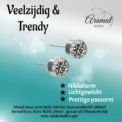 Oorstekers – Staal Kristal Grijs Zilverkleur (6mm) - Aramat Jewels - Oorbellen - cadeautip