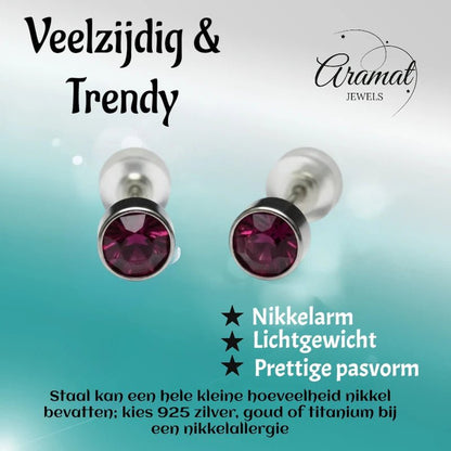 Oorstuds – Staal Kristal Paars Zilverkleur (5mm) - Aramat Jewels - Oorbellen - cadeautip
