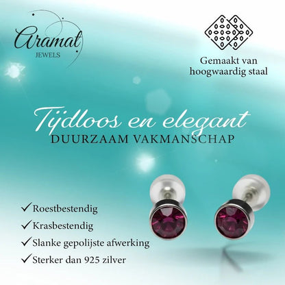 Oorstuds – Staal Kristal Paars Zilverkleur (5mm) - Aramat Jewels - Oorbellen - cadeautip