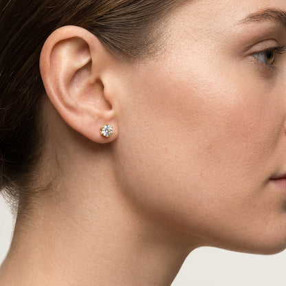 Steel Zirconia Stud Earrings Gold Transparent – 2mm to 6mm