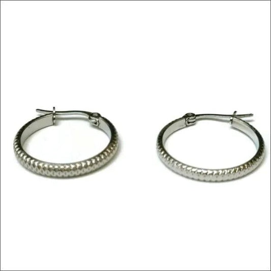Een paar zilveren hoepeloorbellen
