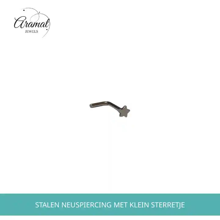 Stalen Neuspiercing met klein Sterretje by@Outfy