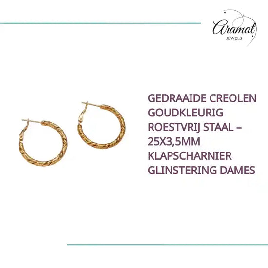 Gedraaide Creolen Goudkleurig Roestvrij Staal &ndash; 25x3,5mm Klapscharnier Glinstering Dames by@Outfy