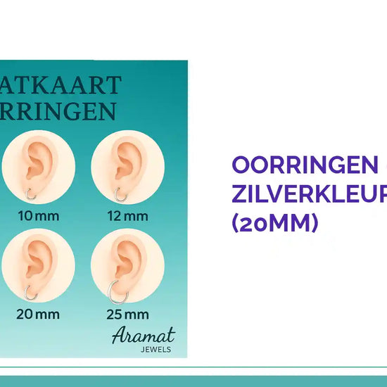 Oorringen &ndash; RVS Mat Zilverkleur Fantasie (20mm) by@Outfy