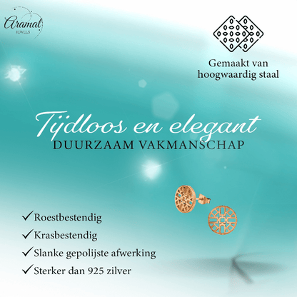 Rosékleurige Oorbellen Azteken Motief 10mm - Aramat Jewels - Oorbellen - cadeautip