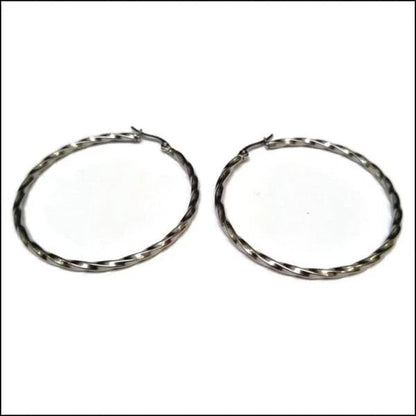 Een paar zilveren hoepeloorbellen