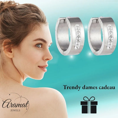 RVS Oorringen Kristal Streep Zilverkleur 20mm - Dames - Aramat Jewels - Oorringen - cadeautip