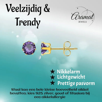 RVS Paarse Zirkonia Oorbellen - Aramat Jewels - Oorbellen - cadeautip