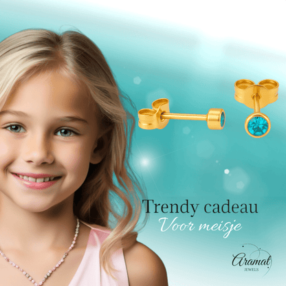 Stalen Aqua Blauwe Kristal Oorbellen 3mm - oor592 - XE38689 - Oorbellen kopen# - 3mm - alles - Aqua Blauw