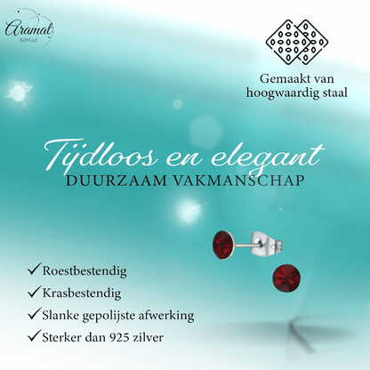 Stalen Kristal Oorbellen met donkerrood steentje – Zilverkleur – 5mm - Aramat Jewels - Oorbellen - cadeautip