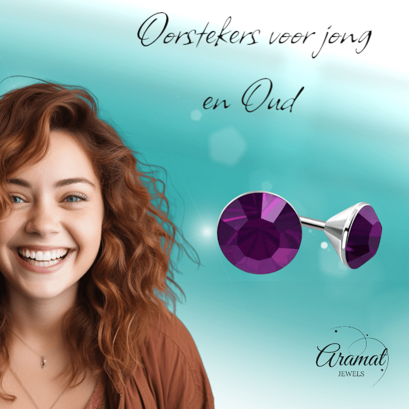 Stalen Kristal Oorbellen met paarse steentjes – Zilverkleur – 4mm - Aramat Jewels - Oorbellen - cadeautip