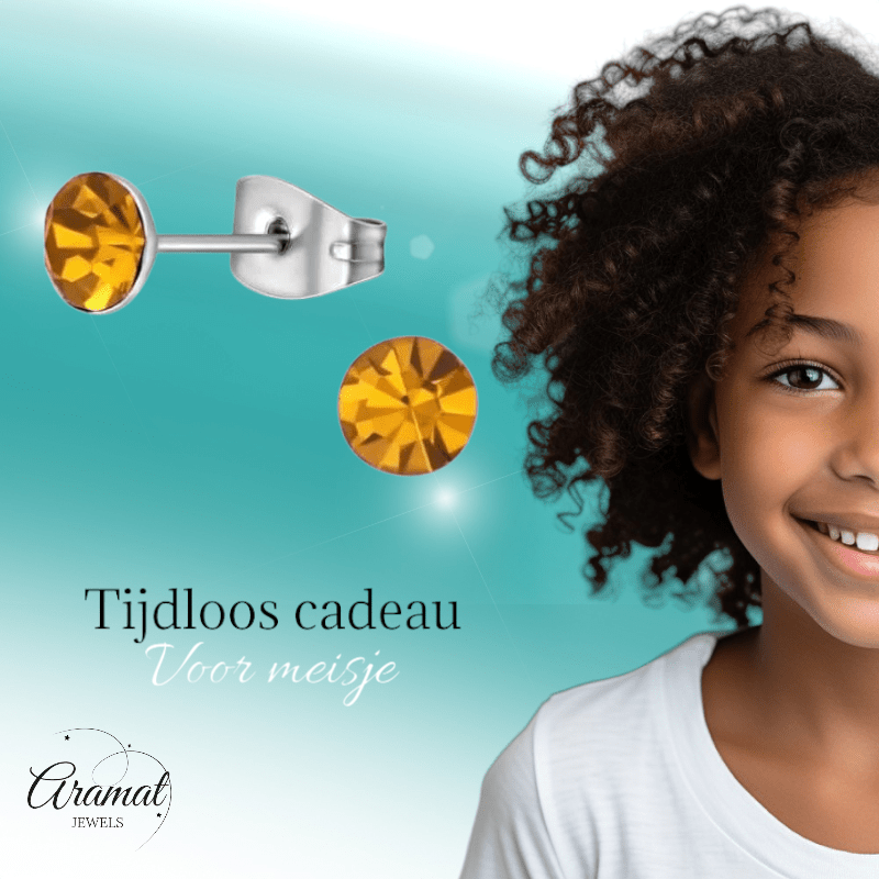 Stalen Kristal Oorbellen met topaas oranje steentje – Zilverkleur – 5mm - Aramat Jewels - Oorbellen - cadeautip