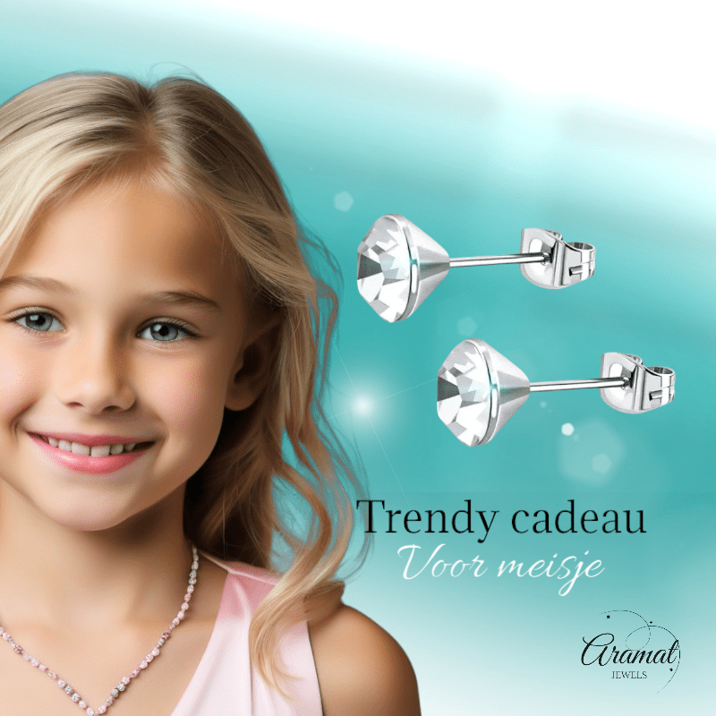 Stalen Kristal Oorbellen met transparant steentje – Zilverkleur – 3mm - Aramat Jewels - Oorbellen - cadeautip