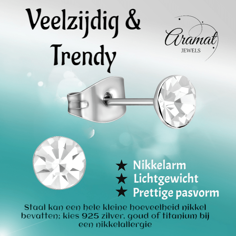 Stalen Kristal Oorbellen met transparant steentje – Zilverkleur – 5mm - Aramat Jewels - Oorbellen - cadeautip