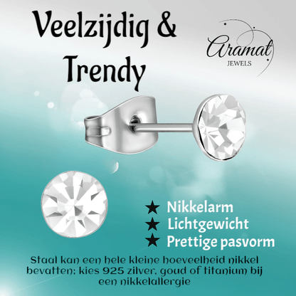 Stalen Kristal Oorbellen met transparant steentje – Zilverkleur – 5mm - Aramat Jewels - Oorbellen - cadeautip