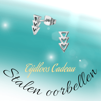 Stalen Pijltjes Oorbellen Zilverkleur 9x5mm - oor3318 - 29800 - Oorbellen kopen# - 9mm - alles - cadeau