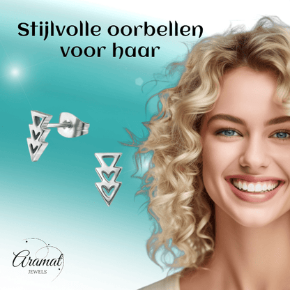 Stalen Pijltjes Oorbellen Zilverkleur 9x5mm - oor3318 - 29800 - Oorbellen kopen# - 9mm - alles - cadeau
