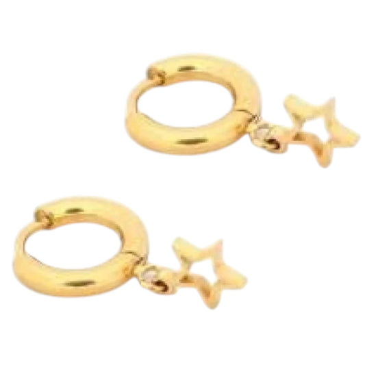 Een paar vergulde hoepeloorbellen