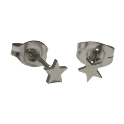 Paar zilveren stervormige oorbellen.