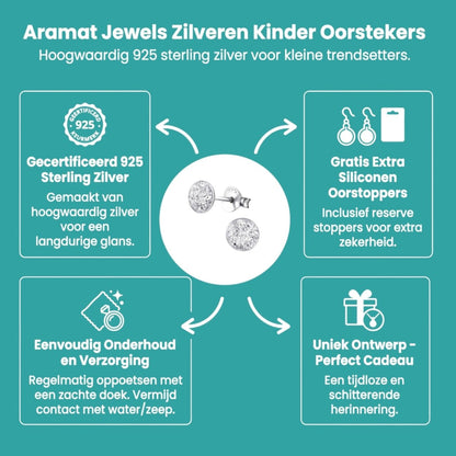 Sterling Zilveren Oorstekers Transparant Glitter 5mm - Aramat Jewels - Oorbellen - cadeautip