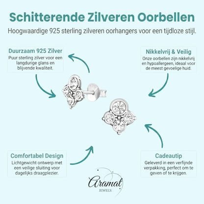 Transparante Kristal Oorbellen met 925 Zilver - Aramat Jewels - Oorbellen - cadeautip