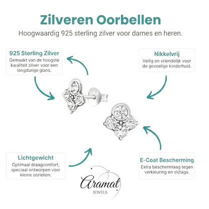 Transparante Kristal Oorbellen met 925 Zilver - Aramat Jewels - Oorbellen - cadeautip