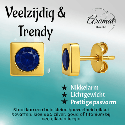 Vierkante oorbellen met donkerblauwe zirkonia – 6 mm - oor2785 - XE71676 - Oorbellen kopen# - 6mm - alles - blauw