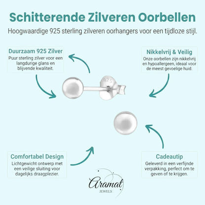 Zilveren Bolletjes Oorbellen 925 Zilver - Aramat Jewels - Oorbellen - cadeautip
