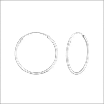 Een paar zilveren hoepeloorbellen