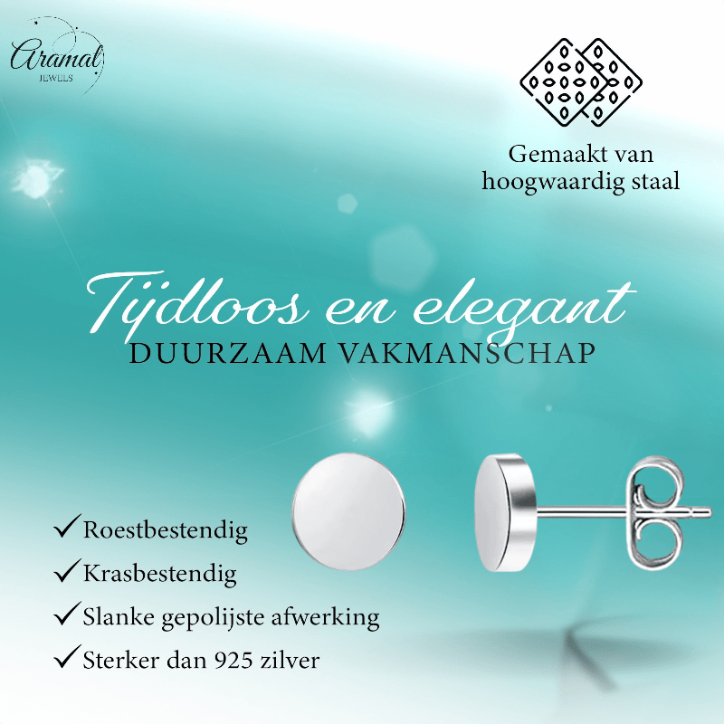 Zilverkleurige Ronde Oorstekers RVS 6mm - Aramat Jewels - Oorbellen - cadeautip