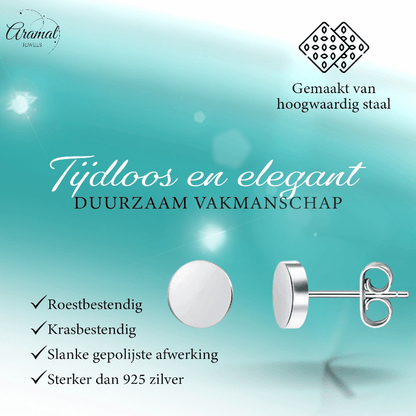 Zilverkleurige Ronde Oorstekers RVS 6mm - Aramat Jewels - Oorbellen - cadeautip