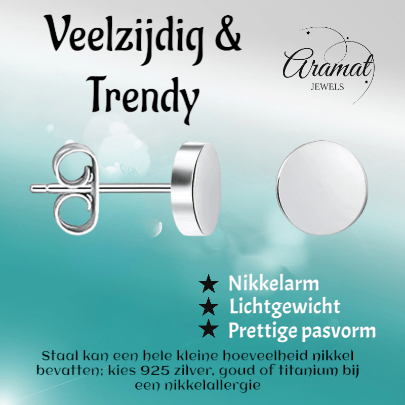 Zilverkleurige Ronde Oorstekers RVS 6mm - Aramat Jewels - Oorbellen - cadeautip